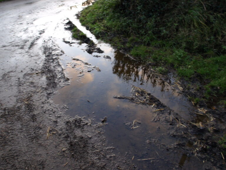 Best Smart Irrigation Systems UK (2025)